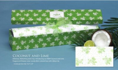 Coconut Lime Scented drawer Liners