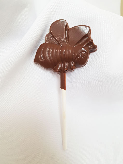 Bee Mine Chocolate Lollipop Edible Promotions