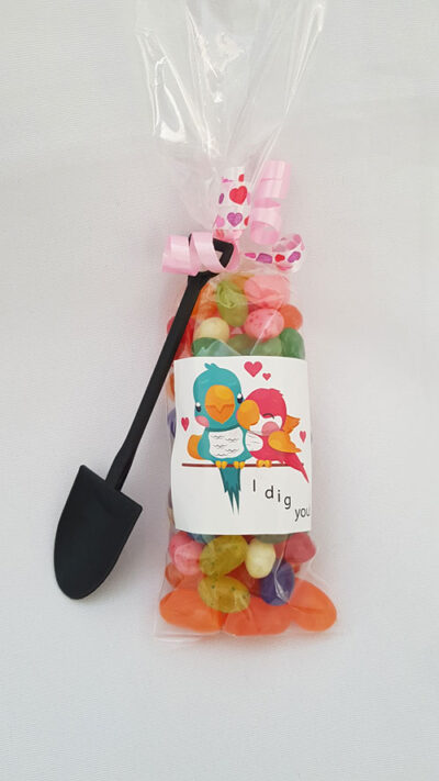 Jelly Beans Bag with Toy Shovel